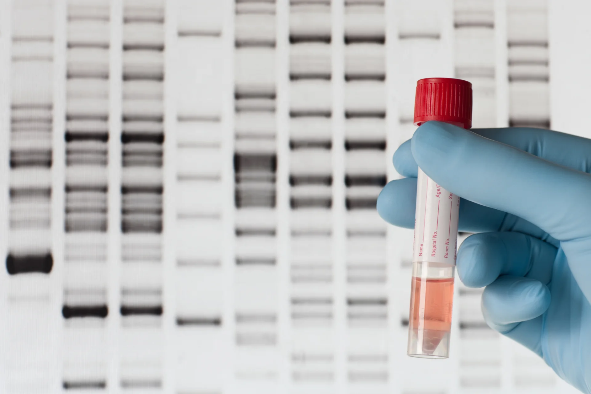 La main gantée d’un technicien de laboratoire tenant un tube d’échantillon devant des bandes d’électrophorèse sur gel d’ADN.