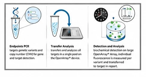 Étapes du traitement en laboratoire : PCR en point final, analyse de transfert, puis détection et analyse